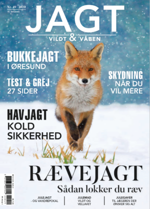 Test af Hanwag Alta Bunion GTX støvler