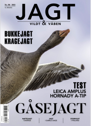 Stortest af anorakker