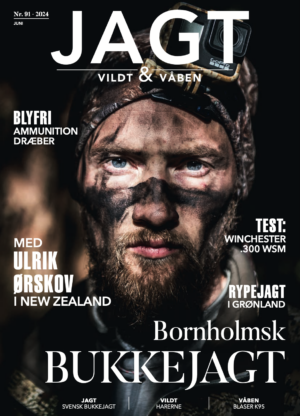 Blyfri ammunition dræber