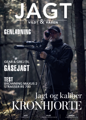 Hjortejagt - Kalibre og ammunition