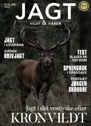 Øjne, briller & optik