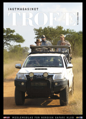 Lag-på-lag princippet